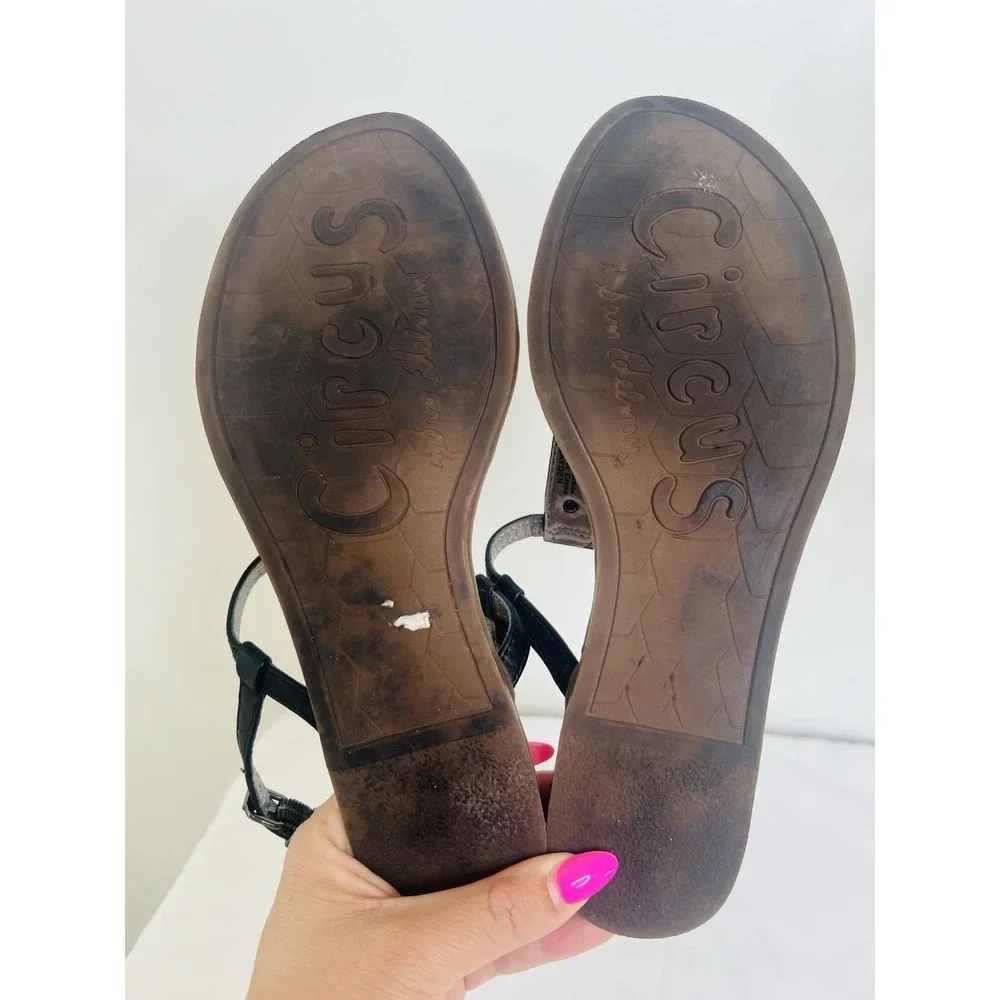 Circus By Sam Edelman Cayden Black T-Strap Buckle‎ Closure Flat Thong Sandals 7M